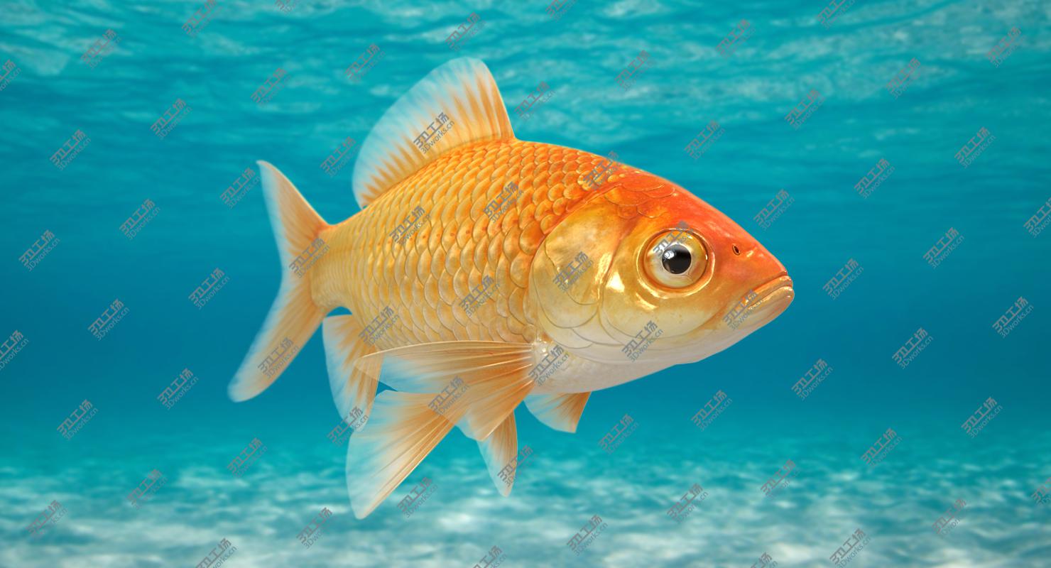 images/goods_img/20210115/Underwater Scene/5.jpg
